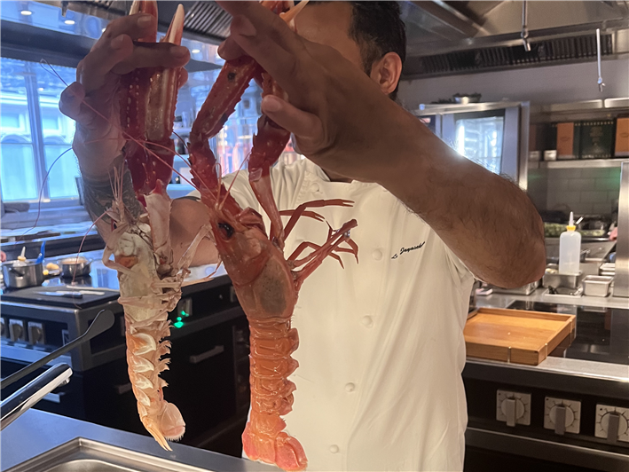 langoustines displayed